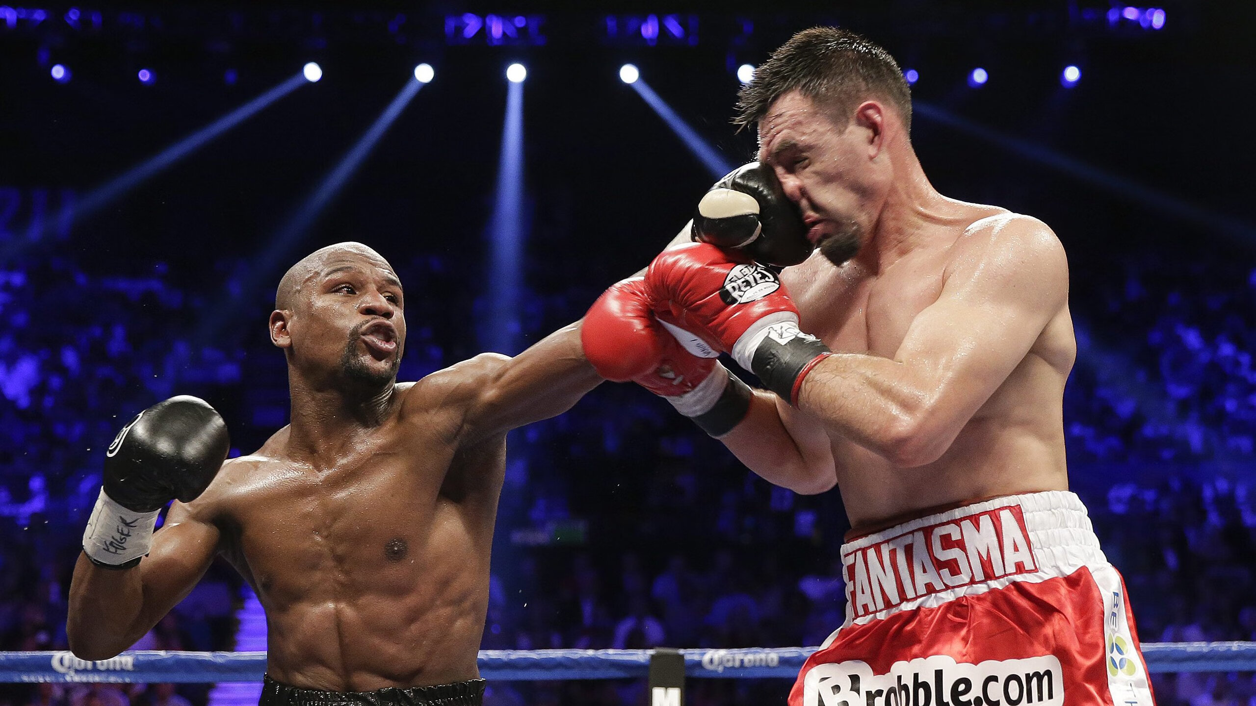 体育新闻中心独家深度专访,《体育新闻》